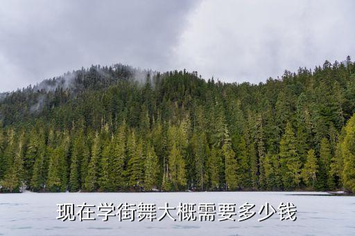 现在学街舞大概需要多少钱