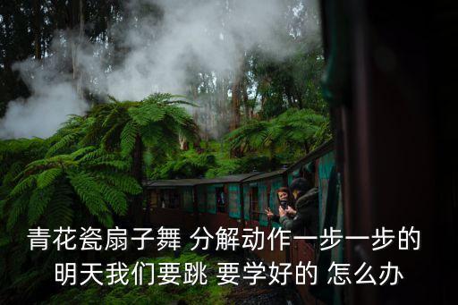 青花瓷扇子舞 分解动作一步一步的 明天我们要跳 要学好的 怎么办