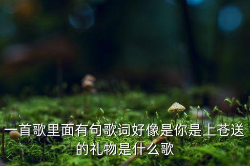 一首歌里面有句歌词好像是你是上苍送的礼物是什么歌