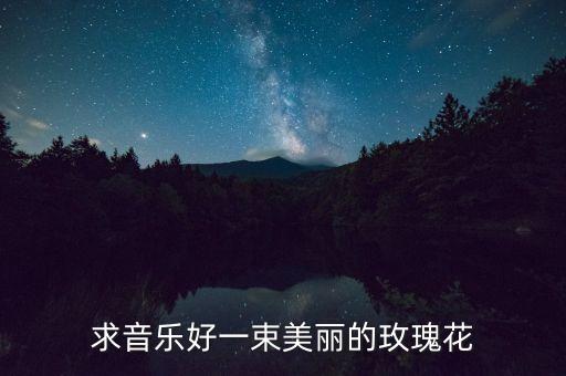 美丽的什么花的歌曲下载，求音乐好一束美丽的玫瑰花