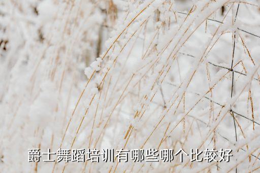 爵士舞蹈培训有哪些哪个比较好