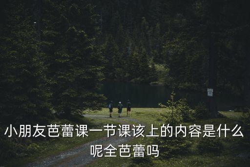 小朋友芭蕾课一节课该上的内容是什么呢全芭蕾吗