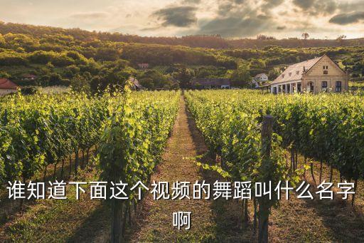 谁知道下面这个视频的舞蹈叫什么名字啊