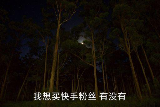 我想买快手粉丝 有没有
