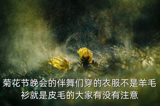 菊花节晚会的伴舞们穿的衣服不是羊毛衫就是皮毛的大家有没有注意