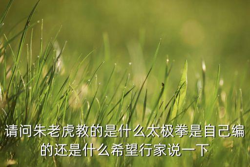 请问朱老虎教的是什么太极拳是自己编的还是什么希望行家说一下