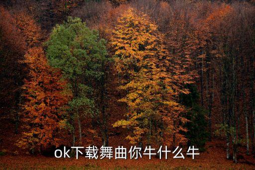 你牛什么牛歌曲的视频下载，飘雪翻唱你牛什么牛