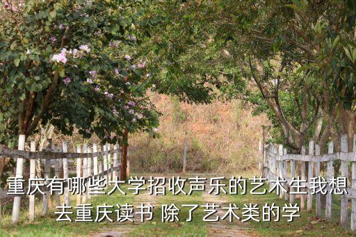 重庆有哪些大学招收声乐的艺术生我想去重庆读书 除了艺术类的学