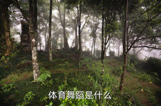 什么叫运动舞蹈，体育舞蹈 是什么东东啊