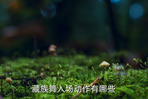 民族舞出场动作，我想找个藏族舞的开场的动作