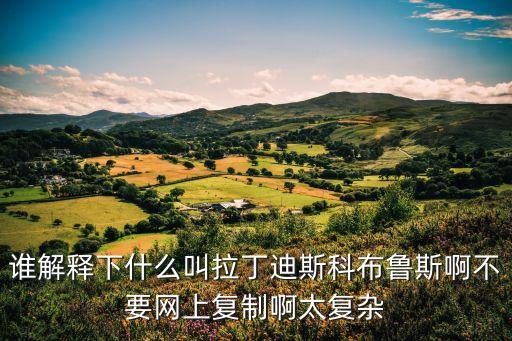 谁解释下什么叫拉丁迪斯科布鲁斯啊不要网上复制啊太复杂