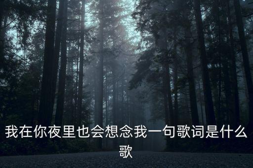 我在你夜里也会想念我一句歌词是什么歌