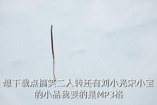 想下载点搞笑二人转还有刘小光宋小宝的小品我要的是MP3格