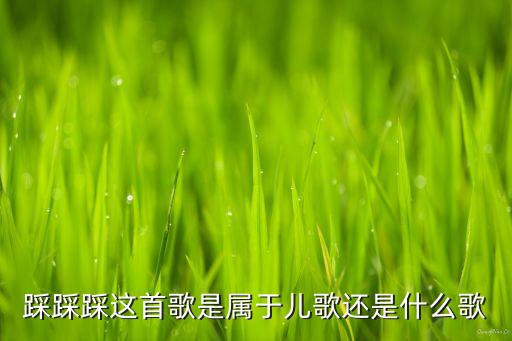 踩踩踩这首歌是属于儿歌还是什么歌