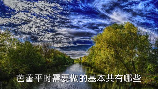 形体芭蕾需要准备什么，芭蕾舞除了需要钢琴伴奏还要什么