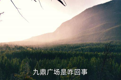 九九广场有什么意思，商场标pd990是什么意思