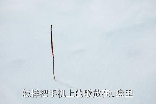 怎样把手机上的歌放在u盘里