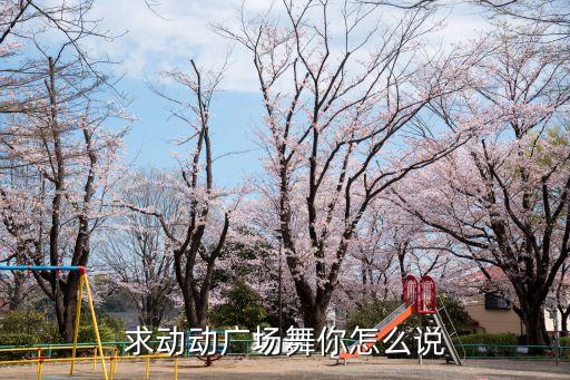 求动动广场舞你怎么说