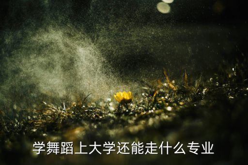 学舞蹈上大学还能走什么专业
