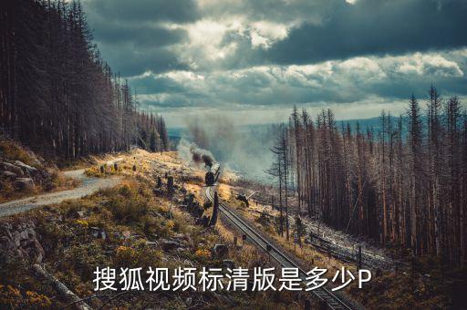 搜狐视频标清版是多少P