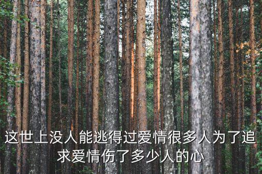 爰情你伤了多少人的心，为什么爱情两个字会伤了那么多人的心呢