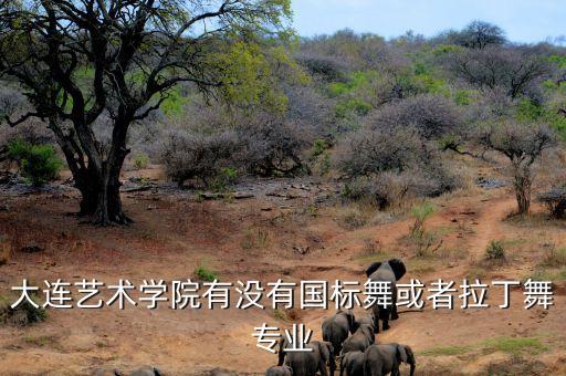 大连艺术学院有没有国标舞或者拉丁舞专业