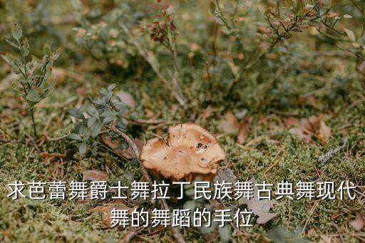 古典舞的千什么走手势，急需跳古典舞的基本手型是什么