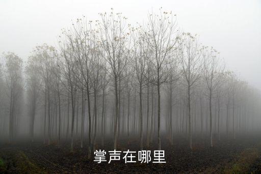 掌声在哪里