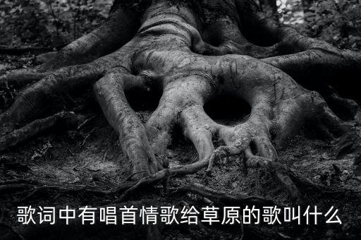 唱一首情歌送草原是什么歌，有一首歌的词是带着草原的热情一起去远方什么歌一男一女唱的