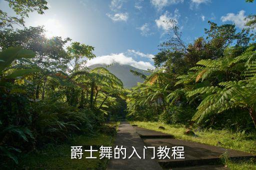 爵士舞基础入门动作，爵士舞基本动作教程