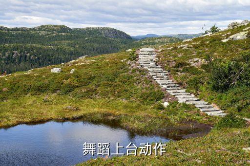 舞蹈上台动作