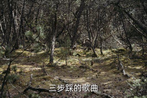 武汉三步踩教学示范的舞曲是什么，袁汉成跳三步踩金银铜是什么歌曲