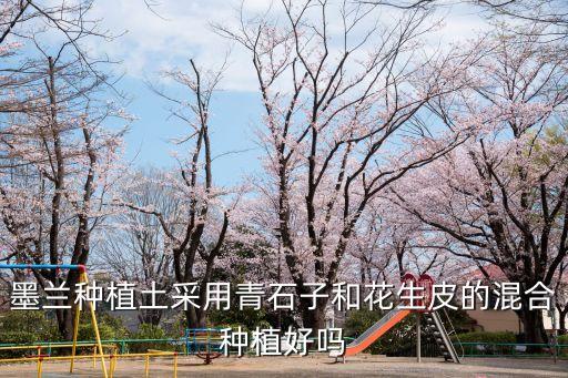 墨兰种植土采用青石子和花生皮的混合种植好吗