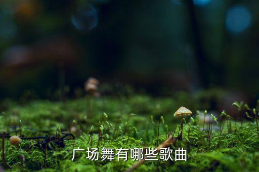 广场舞有哪些歌曲