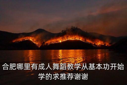 合肥哪里有成人舞蹈教学从基本功开始学的求推荐谢谢