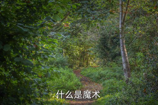 什么是摆手舞，什么是陀飞轮