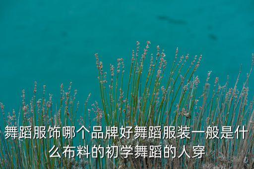 舞蹈服饰哪个品牌好舞蹈服装一般是什么布料的初学舞蹈的人穿