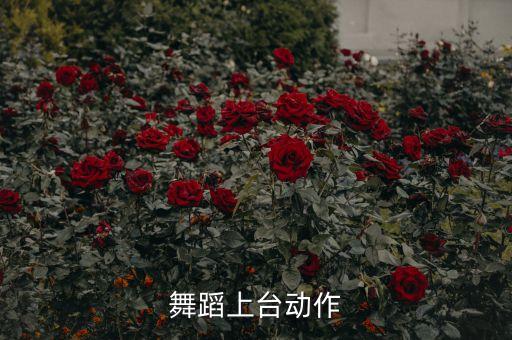 舞蹈上台动作