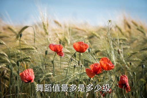 舞蹈值最多是多少级