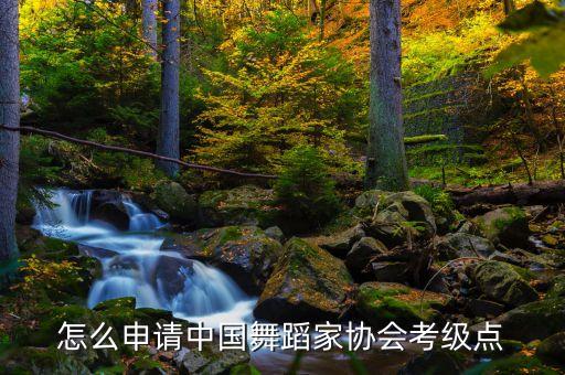 怎么申请中国舞蹈家协会考级点