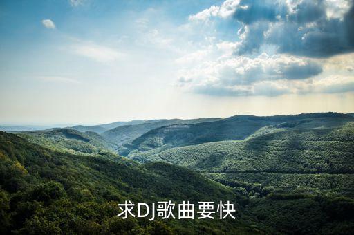 求DJ歌曲要快