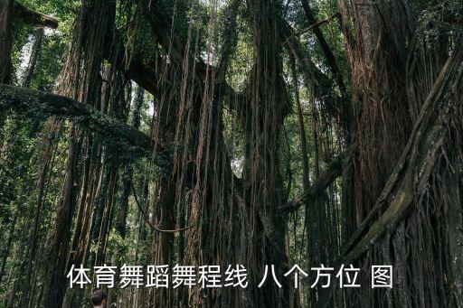 舞蹈当中讲的几点的方向怎么计算，中国舞中身体的方位和教室的方位怎样区分