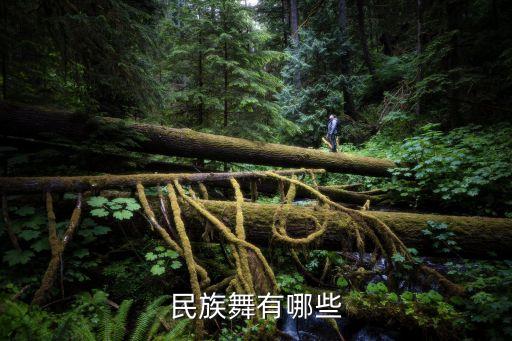 什么的民族舞，民族舞有哪些