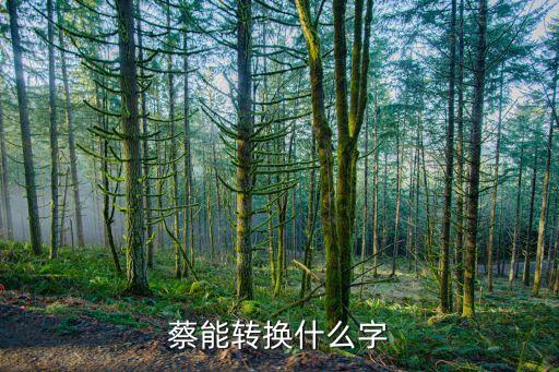 蔡能转换什么字