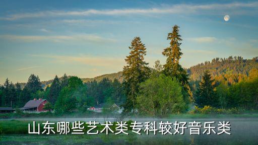 山东哪些艺术类专科较好音乐类