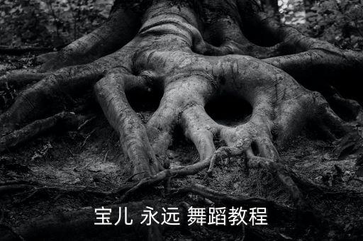 广场舞探戈双人舞教学视频，宝儿 永远 舞蹈教程