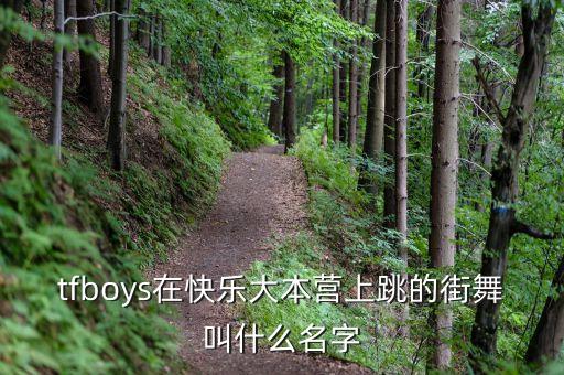 tfboys在快乐大本营上跳的街舞叫什么名字