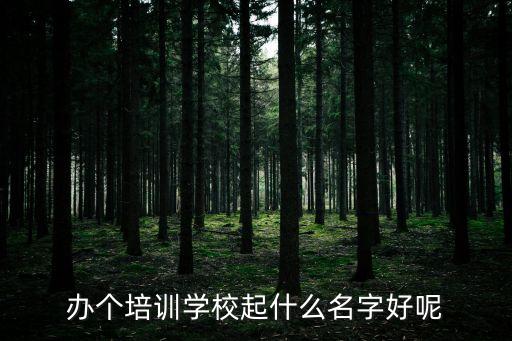 办个培训学校起什么名字好呢