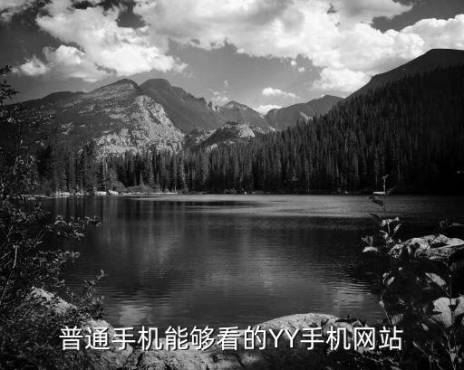 普通手机能够看的YY手机网站