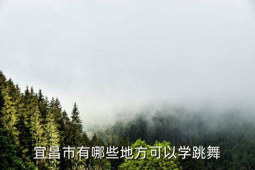 宜昌哪里学广场舞，我想在宜昌学肚皮舞或者爵士不知道哪里好